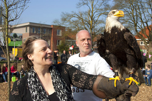 Boomfeestdag Eindhoven: vreemde Vogels!