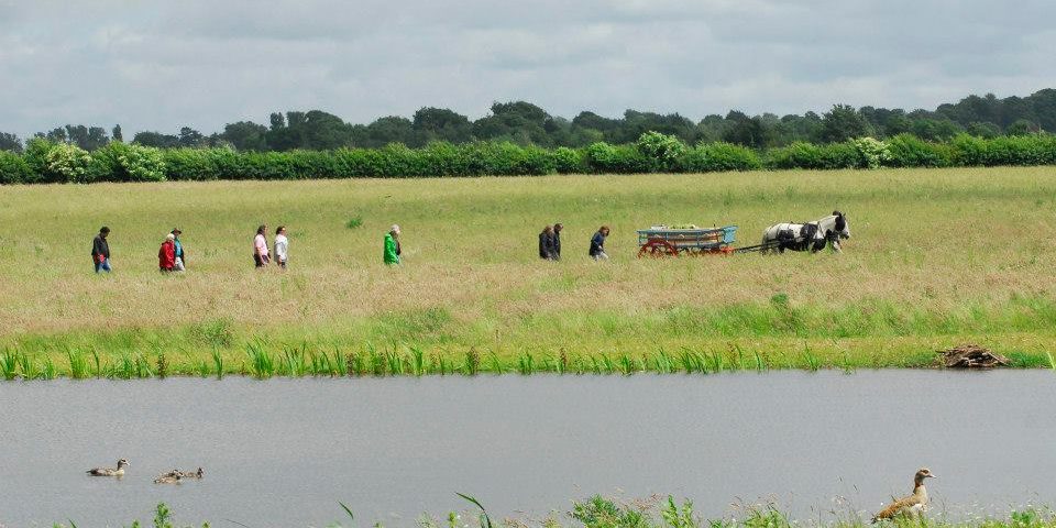 Natuurbegraafplaats ‘Clandon Wood’ (UK)