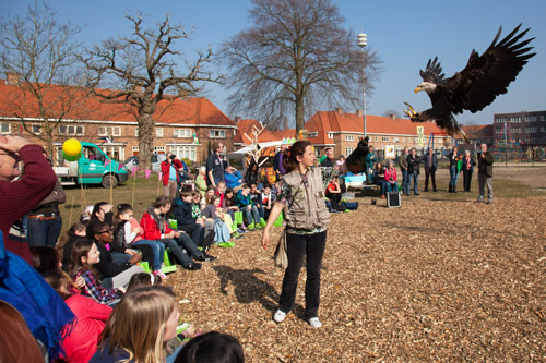 Boomfeestdag Eindhoven: vreemde Vogels!