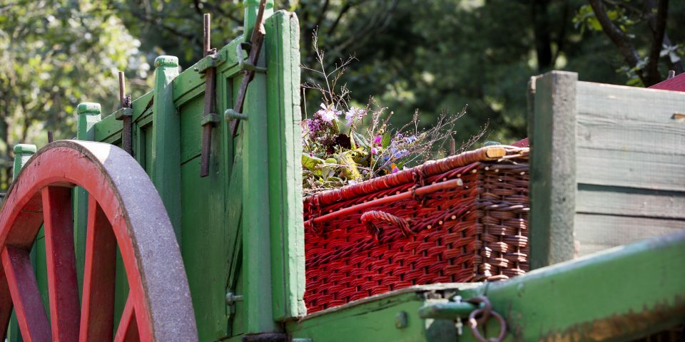 Natuurbegraafplaats Landgoed ‘De Utrecht’