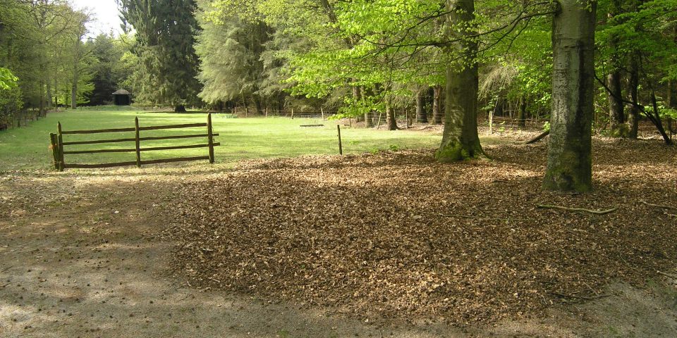 Natuurbegraafplaats Landgoed ‘De Polberg’