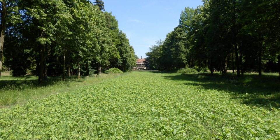 Natuurbegraafplaats Landgoed ‘De Utrecht’