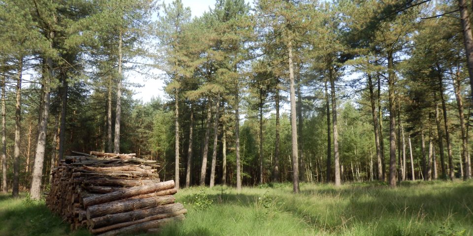 Natuurbegraafplaats Landgoed ‘De Utrecht’