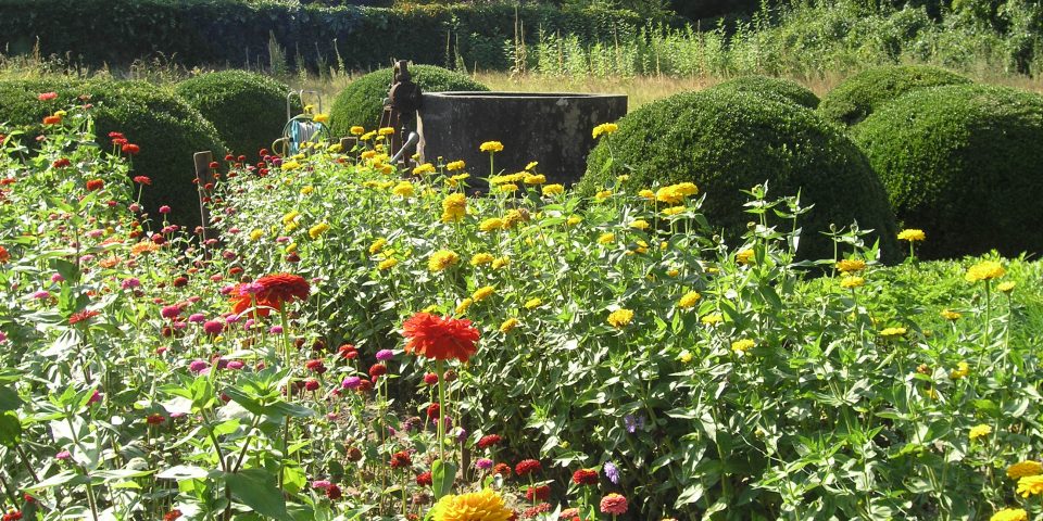 Natuurbegraafplaats Landgoed ‘De Polberg’