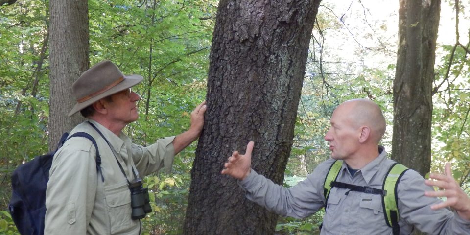 Werkbezoek oerbos Bialowieza (Polen)