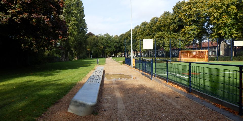 Groenimpuls voor Groenewoudseweg