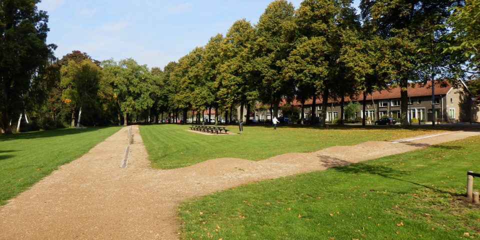 Groenimpuls voor Groenewoudseweg