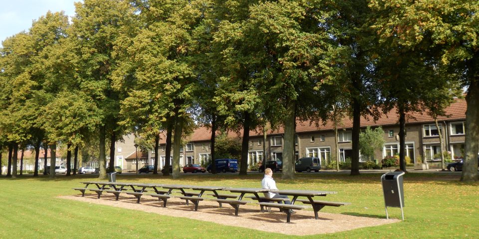 Groenimpuls voor Groenewoudseweg