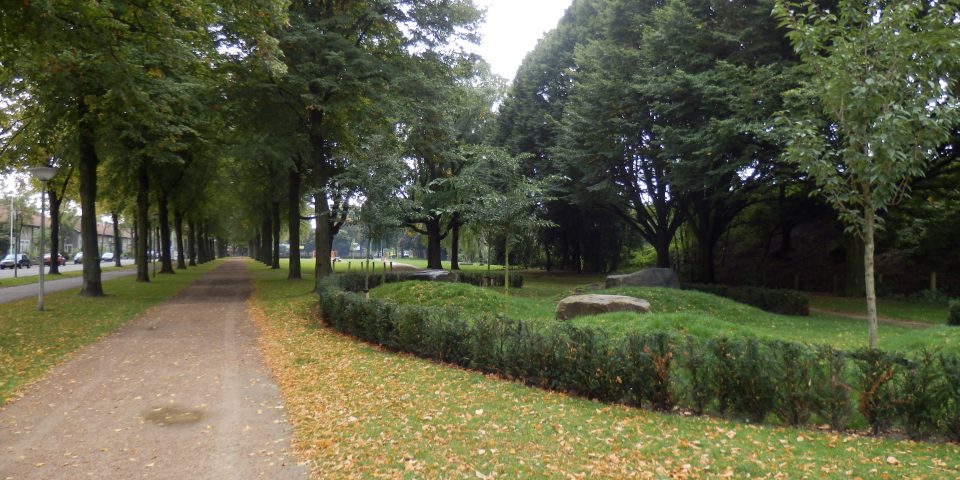 Groenimpuls voor Groenewoudseweg