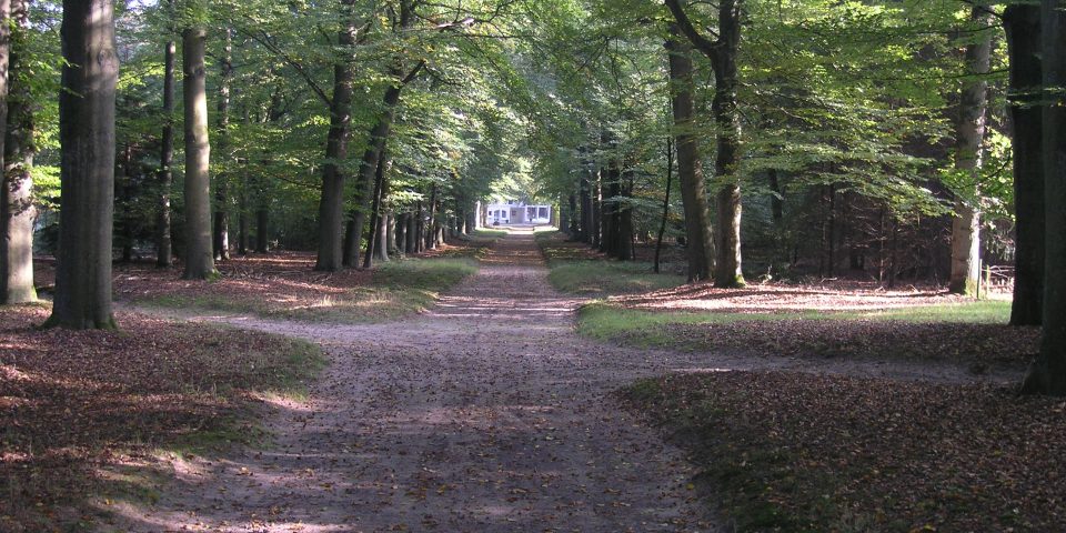 Natuurbegraafplaats Landgoed ‘De Polberg’