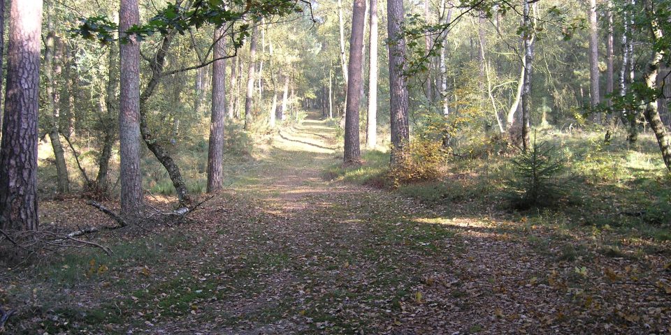 Natuurbegraafplaats Landgoed ‘De Polberg’