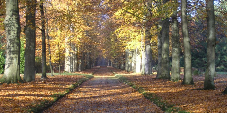 Natuurbegraafplaats Landgoed ‘De Polberg’