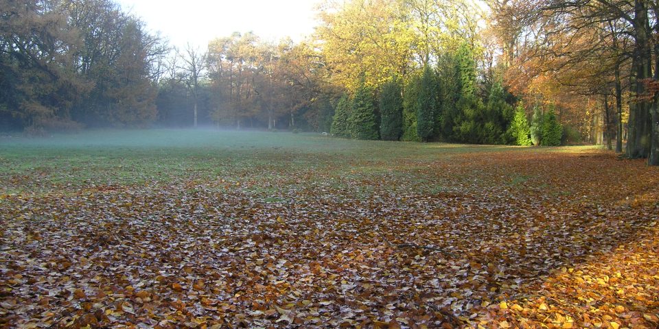 Natuurbegraafplaats Landgoed ‘De Polberg’