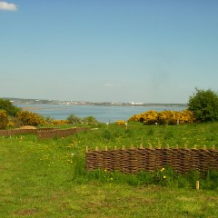 Mayfield Remebrancepark (masterplan)