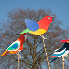 Boomfeestdag Eindhoven: vreemde Vogels!